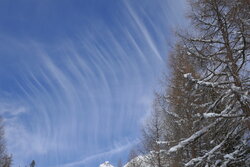 wagner_roger_p1000202.jpg