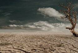 drought.jpg