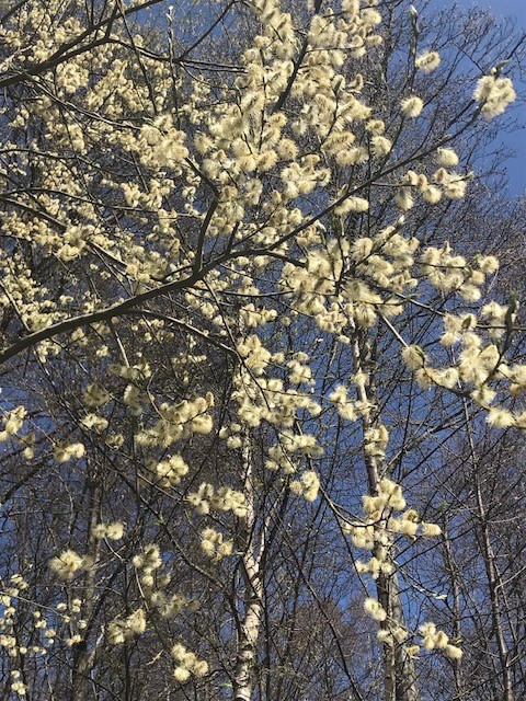 Record de température maximale pour la première décade du mois d'avril